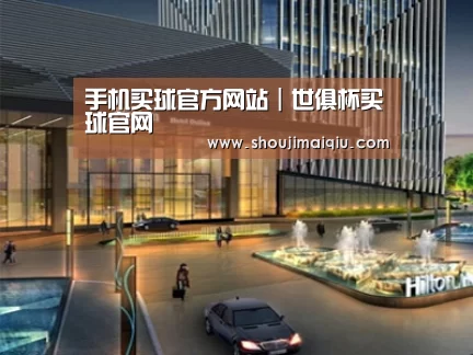 案例展示二(图1)