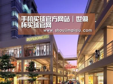 案例展示一