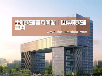 案例展示四