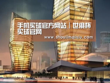 案例展示三
