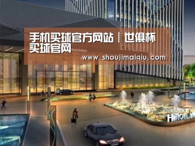 案例展示二