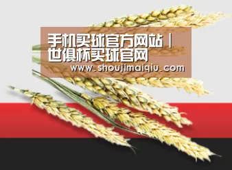 手机买球官方网站｜世俱杯买球官网