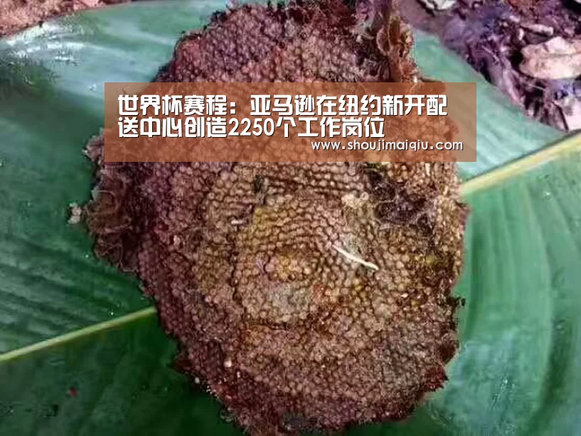 世界杯赛程:亚马逊在纽约新开配送中心创造2250个工作岗位(图2) 世界杯赛程
