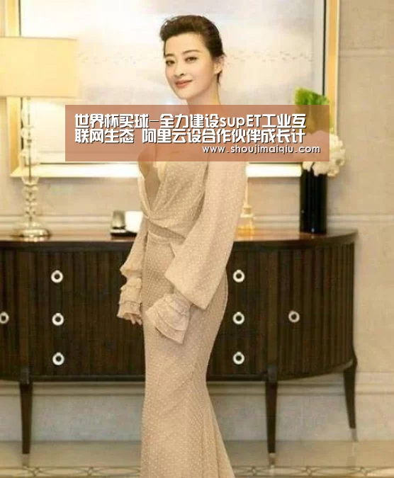 世界杯买球-全力建设supET工业互联网生态 阿里云设合作伙伴成长计划(图3) 世界杯赛程