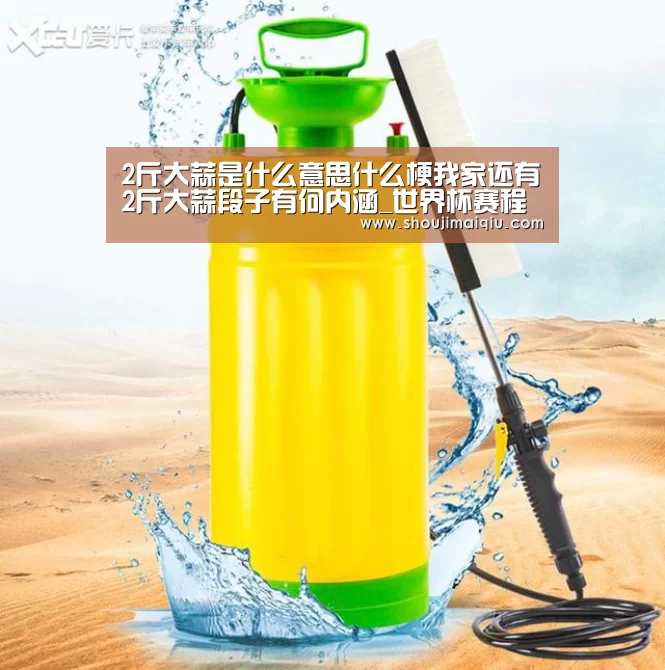 2斤大蒜是什么意思什么梗我家还有2斤大蒜段子有何内涵_世界杯赛程(图1) 世界杯赛程