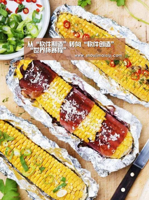 从“软件制造”转向“软件创造”“世界杯赛程”(图4) 手机买球官网