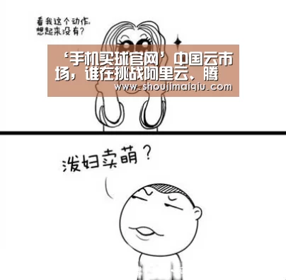 ‘手机买球官网’中国云市场,谁在挑战阿里云、腾讯云?(图3) 世界杯买球