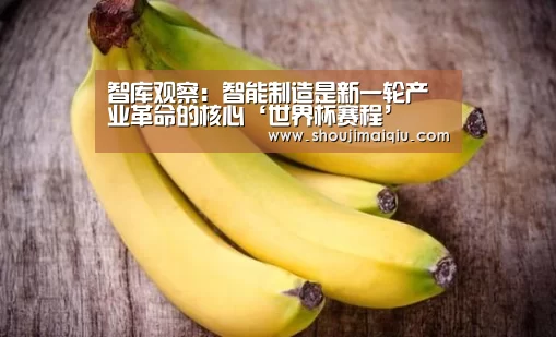 智库观察:智能制造是新一轮产业革命的核心‘世界杯赛程’(图3) 手机买球官网