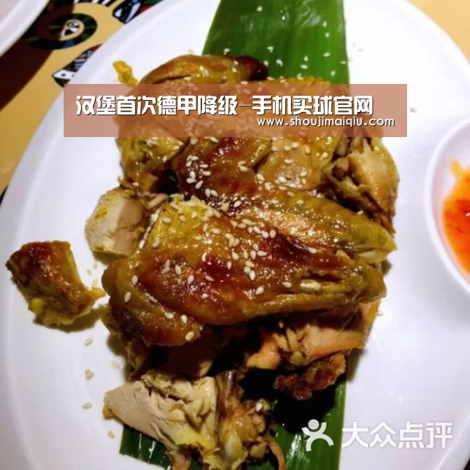 手机买球官网