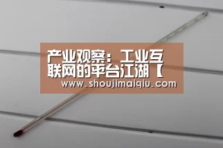 产业观察:工业互联网的平台江湖【世界杯赛程】(图4) 世界杯买球