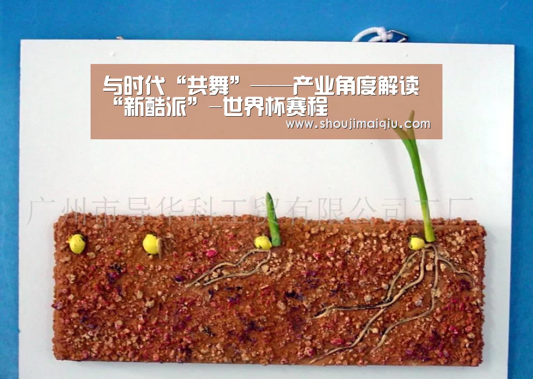 手机买球官网