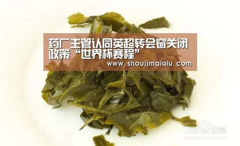 世界杯买球