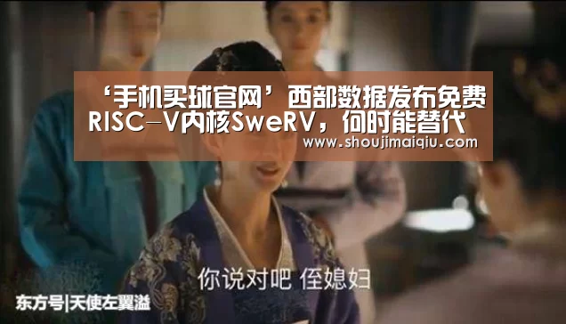 ‘手机买球官网’西部数据发布免费RISC-V内核SweRV,何时能替代Arm和x86?(图1) 手机买球官网