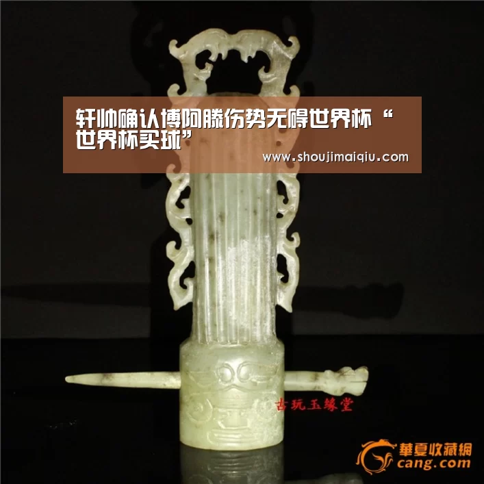轩帅确认博阿滕伤势无碍世界杯“世界杯买球”(图1) 手机买球官网