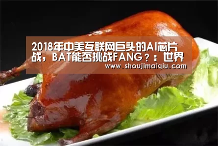 2018年中美互联网巨头的AI芯片战,BAT能否挑战FANG?:世界杯买球(图1) 手机买球官网