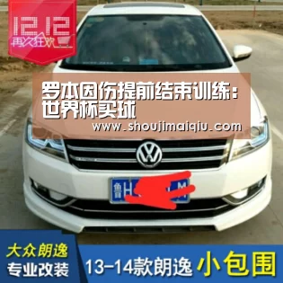 罗本因伤提前结束训练:世界杯买球(图1) 世界杯买球