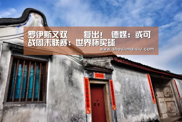 罗伊斯又双叒叕复出! 德媒:或可战周末联赛:世界杯买球(图1) 世界杯赛程