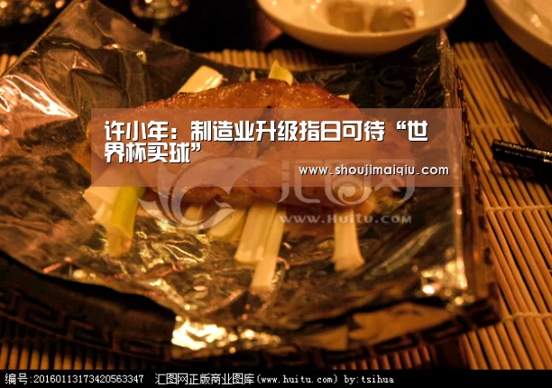 许小年:制造业升级指日可待“世界杯买球”(图3) 手机买球官网