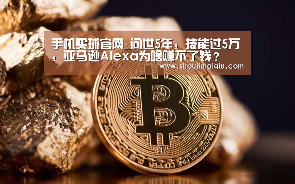 手机买球官网_问世5年,技能过5万,亚马逊Alexa为啥赚不了钱?(图3) 世界杯买球