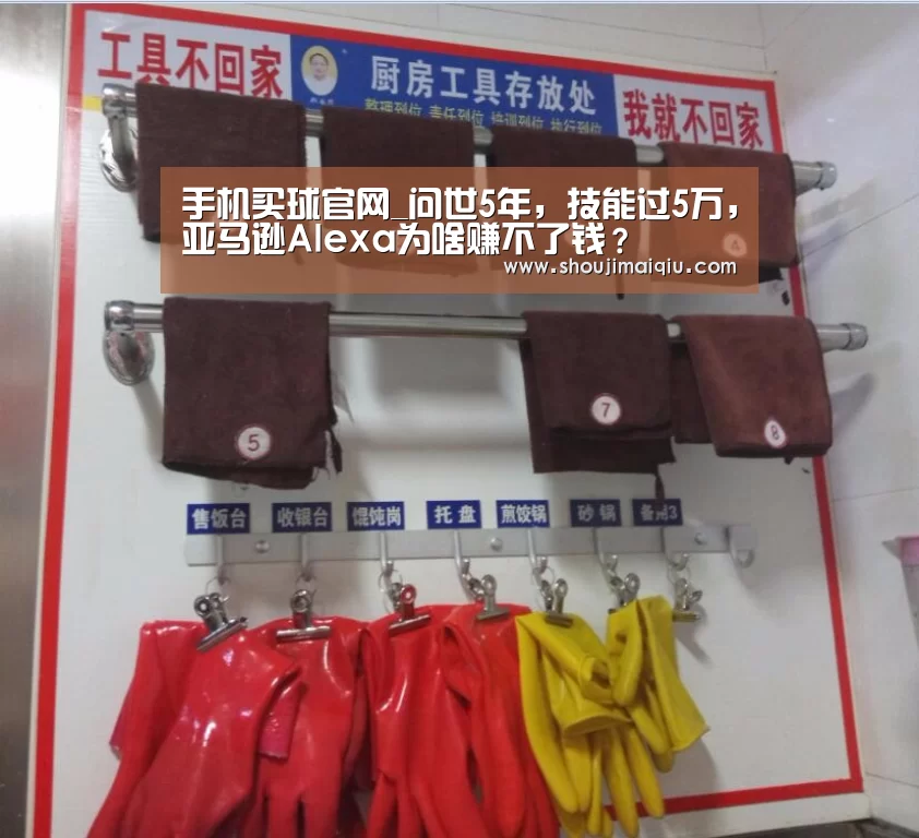 手机买球官网_问世5年,技能过5万,亚马逊Alexa为啥赚不了钱?(图2) 手机买球官网
