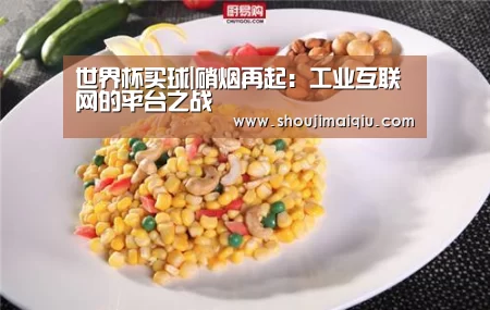世界杯买球|硝烟再起:工业互联网的平台之战(图2) 手机买球官网