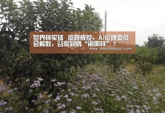 世界杯买球-高管被挖,AI伦理委员会解散,谷歌到底“闹哪样”?(图1) 世界杯买球
