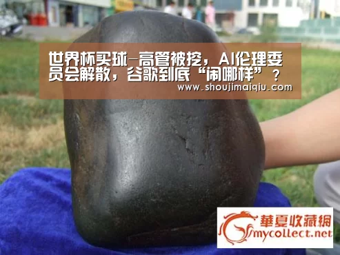 世界杯买球-高管被挖,AI伦理委员会解散,谷歌到底“闹哪样”?(图3) 世界杯赛程