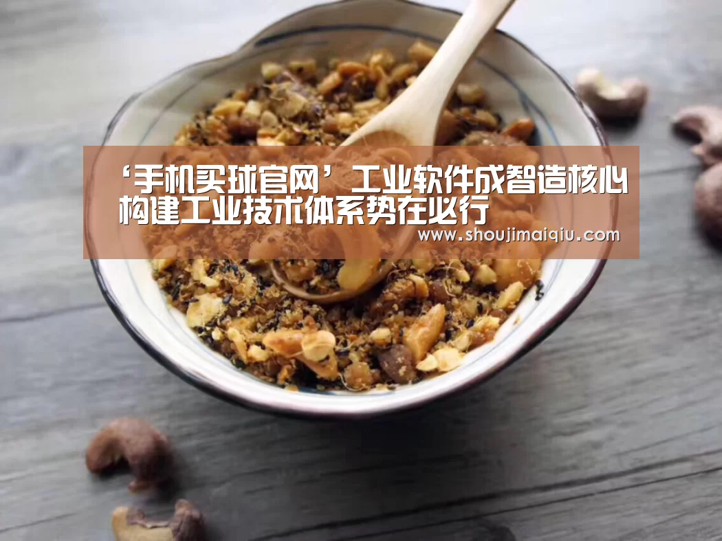 ‘手机买球官网’工业软件成智造核心 构建工业技术体系势在必行(图1) 手机买球官网